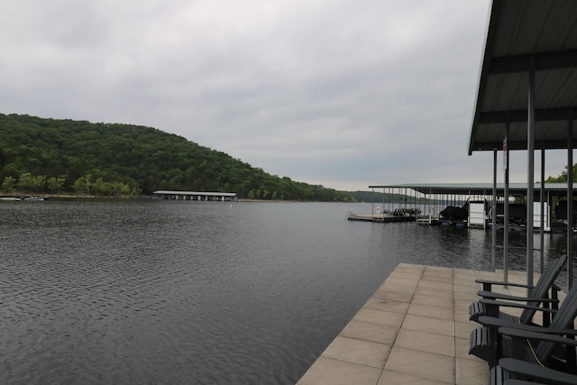 123 Joseph Cove Dr, Lampe, MO 65681
