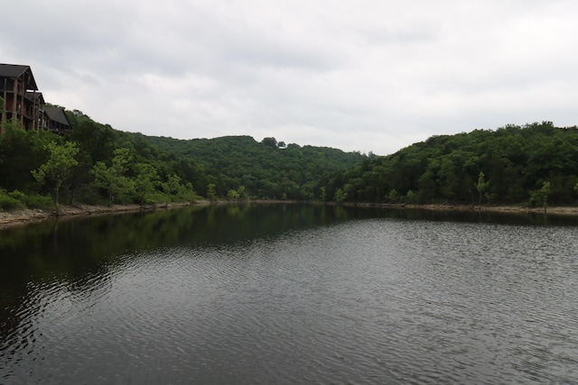 123 Joseph Cove Dr, Lampe, MO 65681