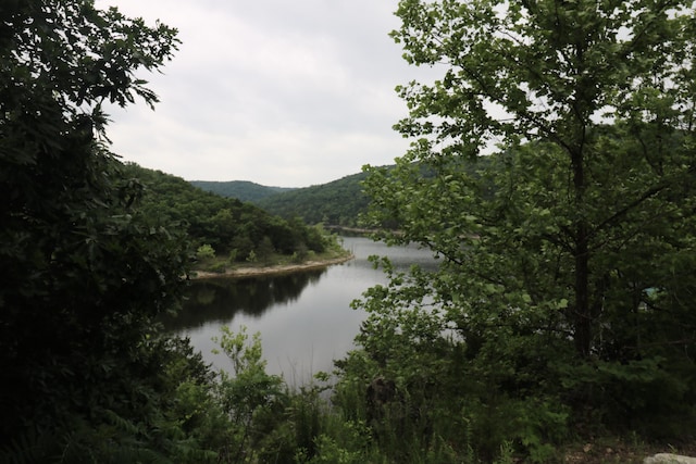123 Joseph Cove Dr, Lampe, MO 65681