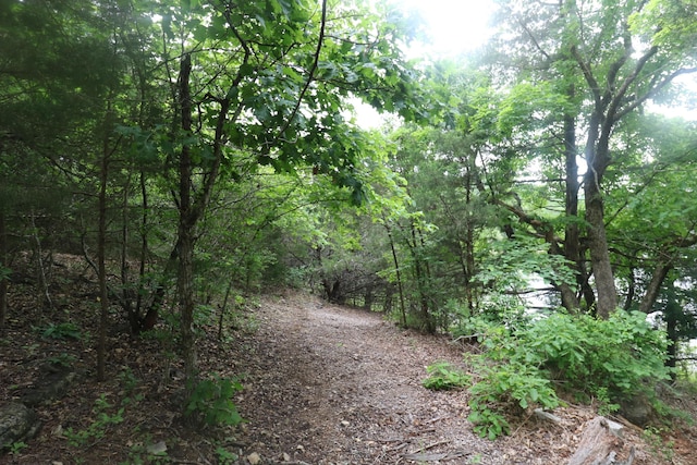 123 Joseph Cove Dr, Lampe, MO 65681