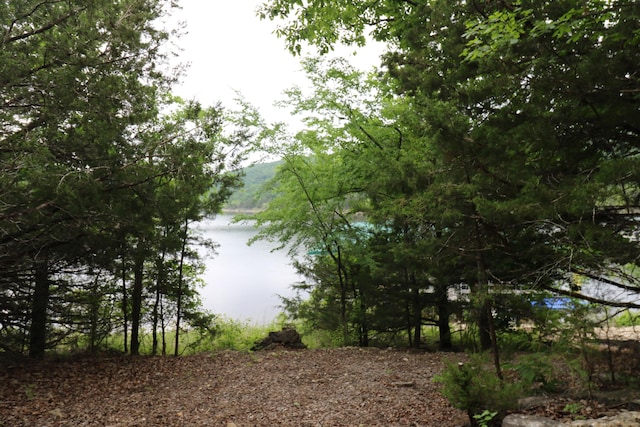 123 Joseph Cove Dr, Lampe, MO 65681