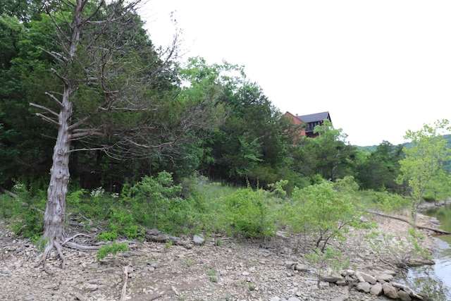 123 Joseph Cove Dr, Lampe, MO 65681