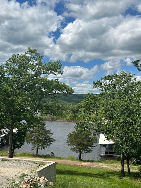 TBD Kings Cove Ln Unit 16, Reeds Spring, MO 65737 - water view
