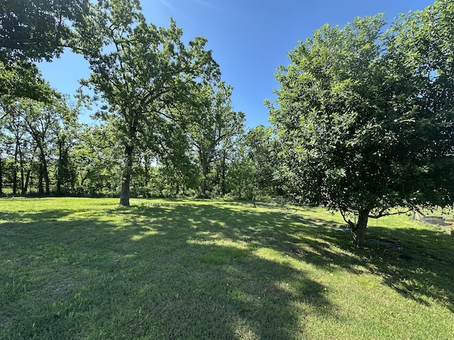 9611 Co Rd Unit A-436, Ava, MO 65608 - view of green lawn