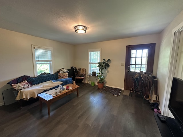 9611 Co Rd Unit A-436, Ava, MO 65608 - living area with dark wood-style flooring, healthy amount of natural light, baseboards, and a textured ceiling