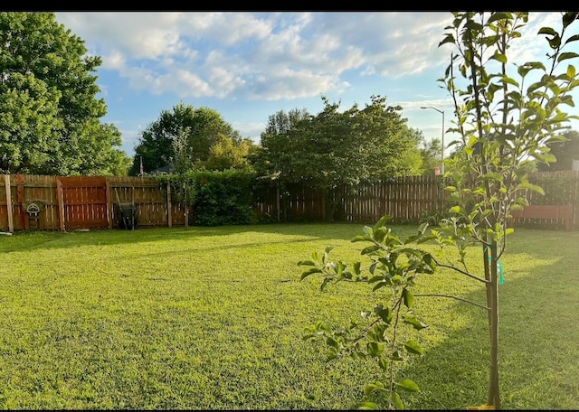 3943 W Kay Pointe Blvd, Springfield, MO 65802 - view of yard