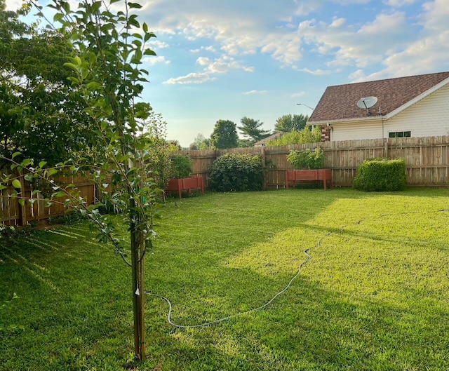3943 W Kay Pointe Blvd, Springfield, MO 65802 - view of yard