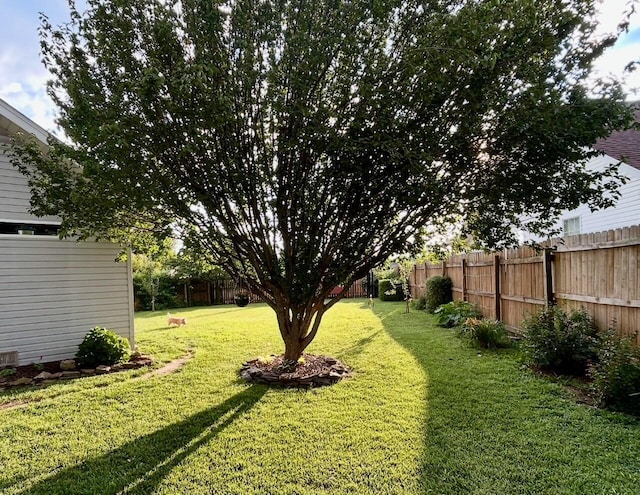 3943 W Kay Pointe Blvd, Springfield, MO 65802 - view of yard