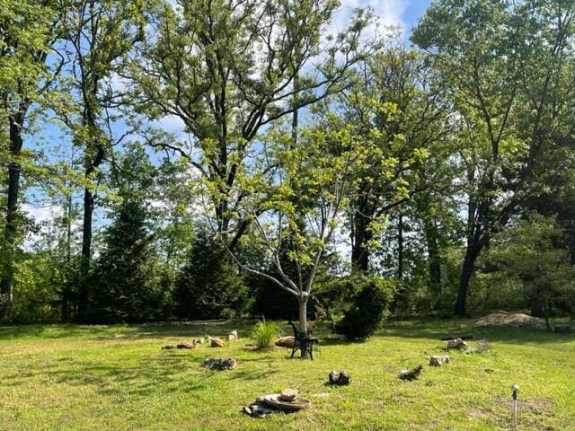 10694 Red Spring Rd, Mountain Grove, MO 65711 - view of green lawn
