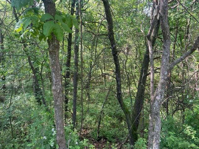10694 Red Spring Rd, Mountain Grove, MO 65711 - view of woods