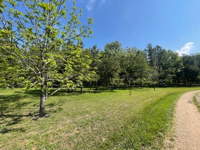10694 Red Spring Rd, Mountain Grove, MO 65711 - view of grassy yard
