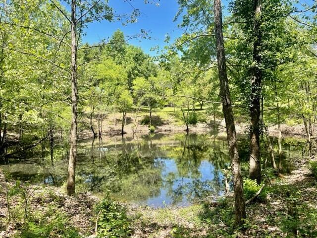 10694 Red Spring Rd, Mountain Grove, MO 65711 - water view with a forest