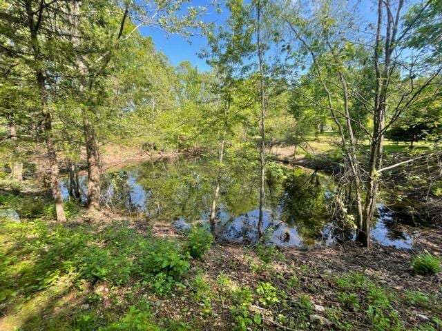 10694 Red Spring Rd, Mountain Grove, MO 65711 - water view with a heavily wooded area