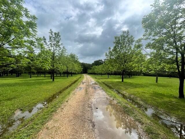 10694 Red Spring Rd, Mountain Grove, MO 65711 - view of street