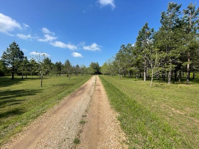 10694 Red Spring Rd, Mountain Grove, MO 65711 - view of dirt / gravel road