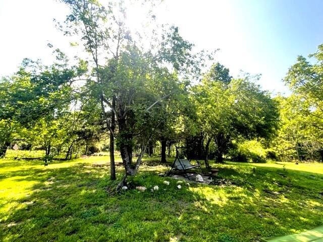 10694 Red Spring Rd, Mountain Grove, MO 65711 - view of green lawn