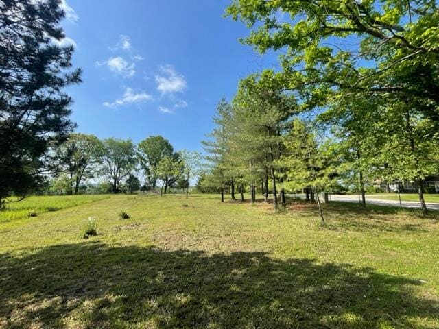 10694 Red Spring Rd, Mountain Grove, MO 65711 - view of grassy yard