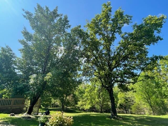 10694 Red Spring Rd, Mountain Grove, MO 65711 - view of green lawn