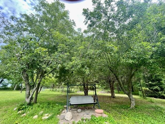 10694 Red Spring Rd, Mountain Grove, MO 65711 - surrounding community with a lawn