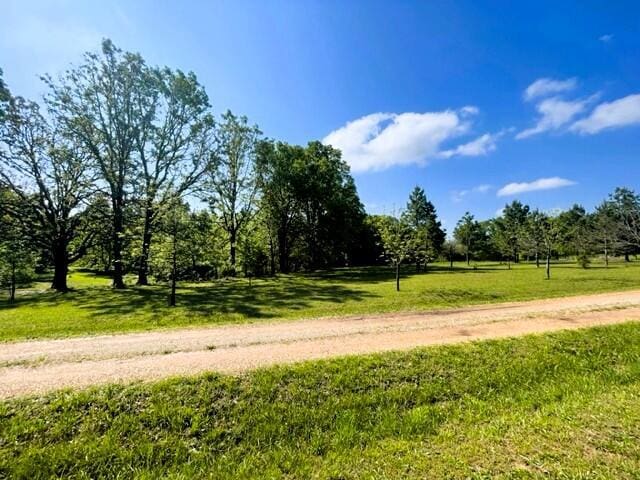10694 Red Spring Rd, Mountain Grove, MO 65711 - surrounding community featuring a yard