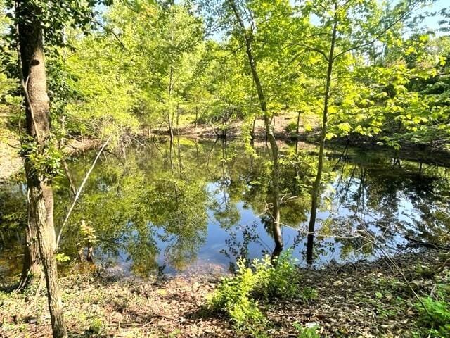 10694 Red Spring Rd, Mountain Grove, MO 65711 - water view with a forest