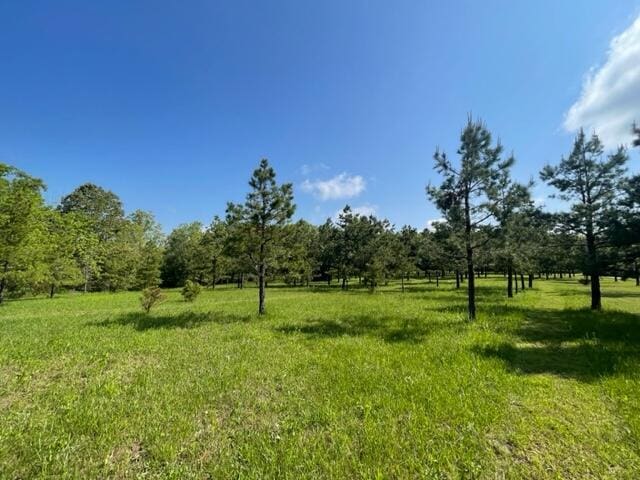 10694 Red Spring Rd, Mountain Grove, MO 65711 - view of grassy yard featuring a rural view