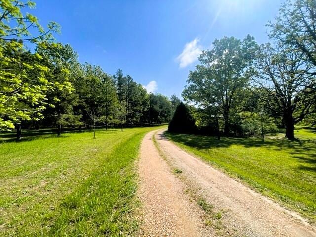10694 Red Spring Rd, Mountain Grove, MO 65711 - view of dirt / gravel road