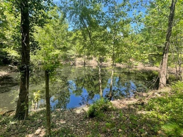 10694 Red Spring Rd, Mountain Grove, MO 65711 - water view featuring a heavily wooded area