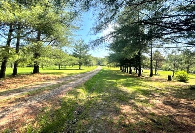 10694 Red Spring Rd, Mountain Grove, MO 65711 - view of road