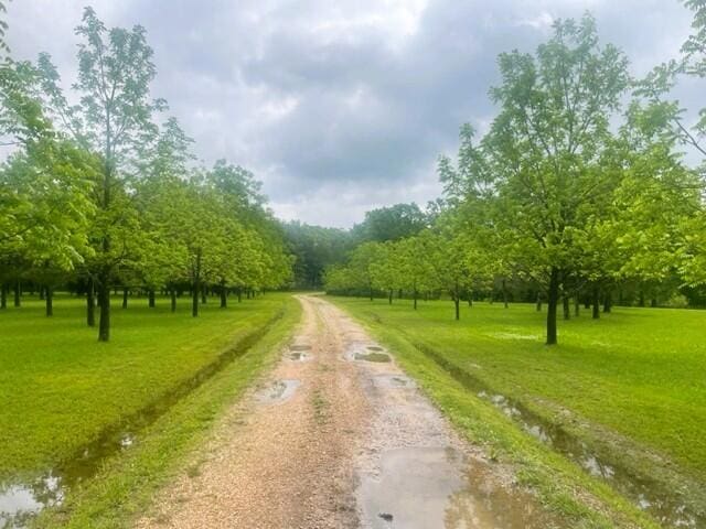 10694 Red Spring Rd, Mountain Grove, MO 65711 - view of street featuring a rural view