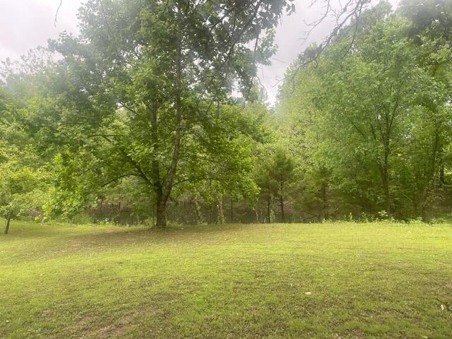 10694 Red Spring Rd, Mountain Grove, MO 65711 - view of green lawn with a wooded view