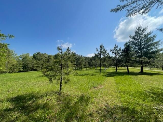 10694 Red Spring Rd, Mountain Grove, MO 65711 - view of grassy yard featuring a view of rural / pastoral area