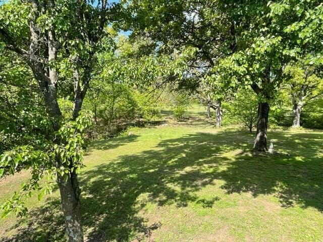 10694 Red Spring Rd, Mountain Grove, MO 65711 - view of green lawn