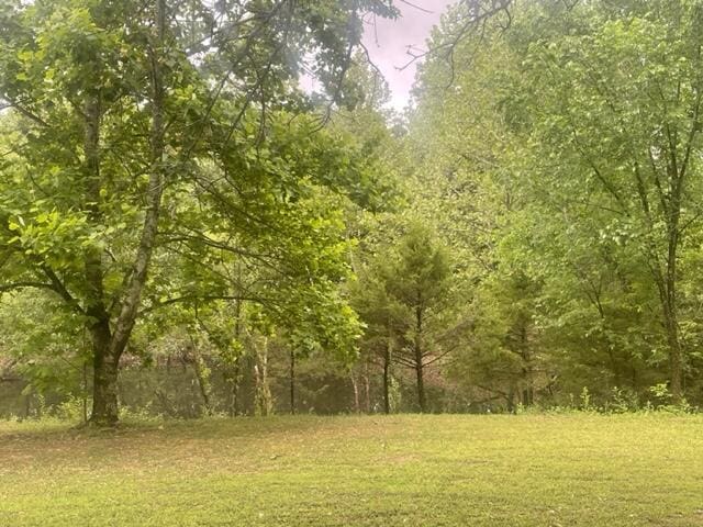 10694 Red Spring Rd, Mountain Grove, MO 65711 - view of woods