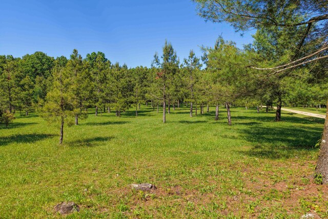 10694 Red Spring Rd, Mountain Grove, MO 65711 - view of grassy yard