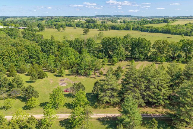 10694 Red Spring Rd, Mountain Grove, MO 65711 - drone / aerial view