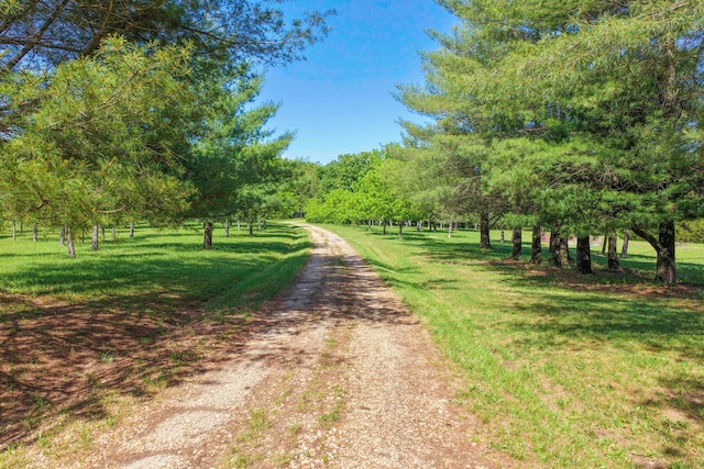 10694 Red Spring Rd, Mountain Grove, MO 65711 - view of road