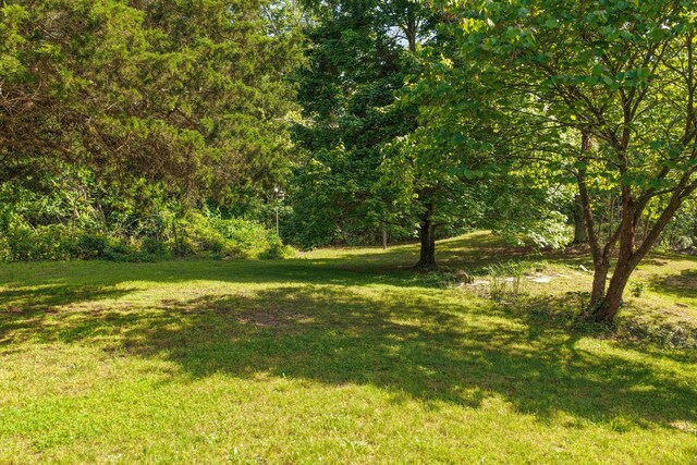 10694 Red Spring Rd, Mountain Grove, MO 65711 - view of green lawn featuring a view of trees