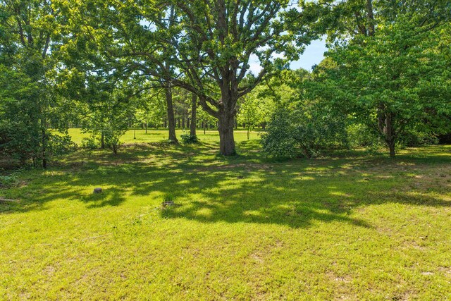 10694 Red Spring Rd, Mountain Grove, MO 65711 - view of green lawn