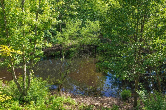 10694 Red Spring Rd, Mountain Grove, MO 65711 - water view