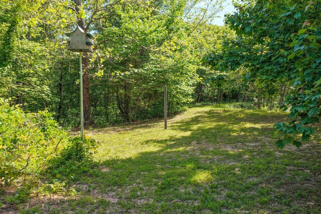 10694 Red Spring Rd, Mountain Grove, MO 65711 - view of grassy yard with a wooded view