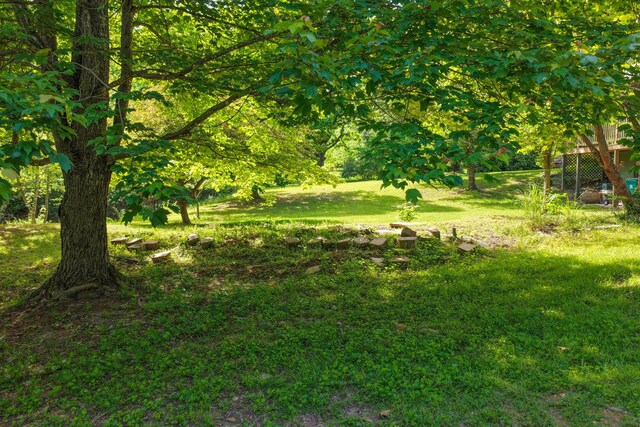 10694 Red Spring Rd, Mountain Grove, MO 65711 - view of grassy yard