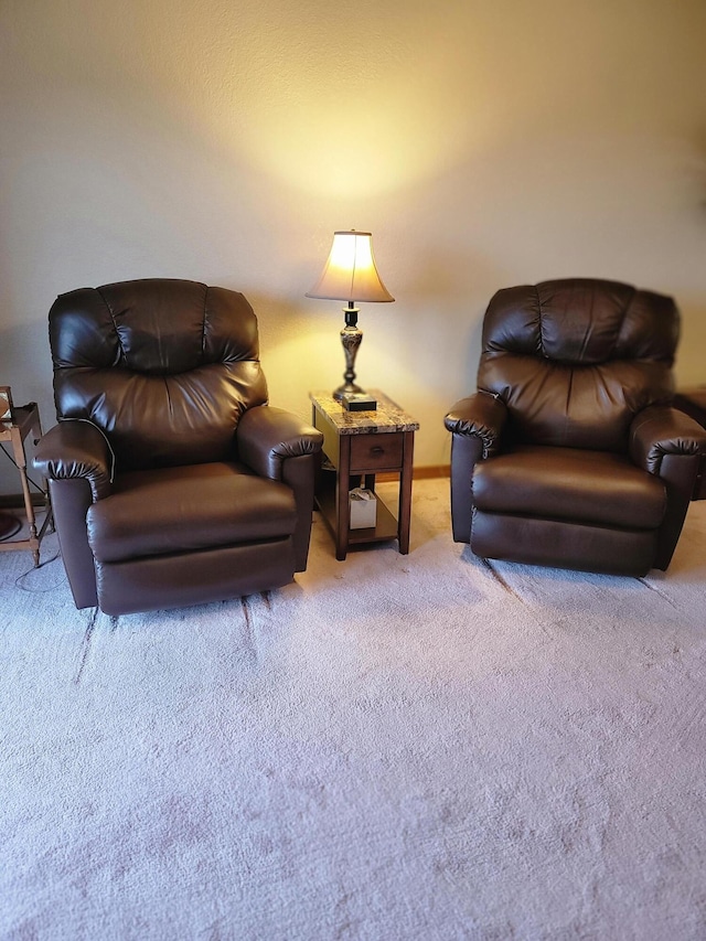 150 Sunken Forest Dr Unit 235, Forsyth, MO 65653 - sitting room with carpet flooring and baseboards