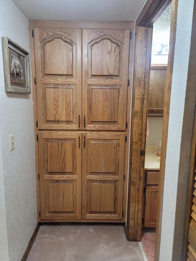 150 Sunken Forest Dr Unit 235, Forsyth, MO 65653 - detailed view of a textured wall and carpet