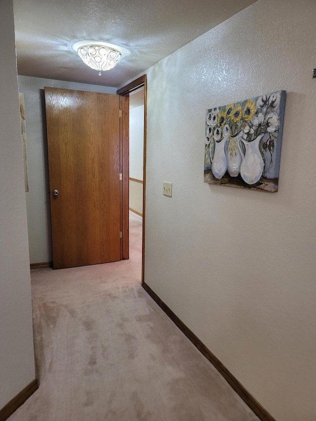 150 Sunken Forest Dr Unit 235, Forsyth, MO 65653 - hallway featuring carpet floors, baseboards, and a textured ceiling