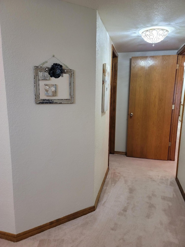 150 Sunken Forest Dr Unit 235, Forsyth, MO 65653 - corridor with light colored carpet and baseboards