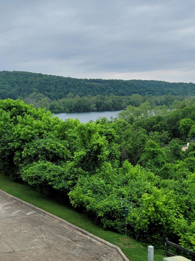 150 Sunken Forest Dr Unit 235, Forsyth, MO 65653 - water view with a heavily wooded area