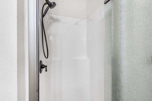 131 Lake Beach Ln, Hollister, MO 65672 - full bath featuring a stall shower