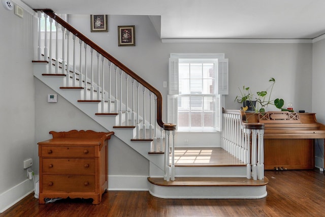 1501 E Walnut St, Springfield, MO 65802 - staircase featuring wood finished floors, baseboards, and ornamental molding