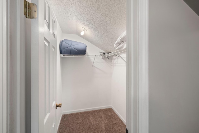 10 Treehouse Ln Unit 11, Branson, MO 65616 - walk in closet featuring carpet and lofted ceiling